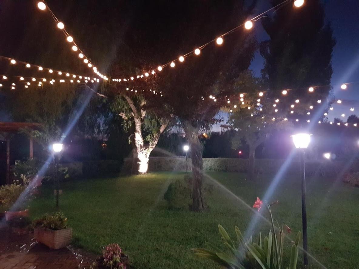 L'Albero Del Pepe Panzió Fiano Romano Kültér fotó