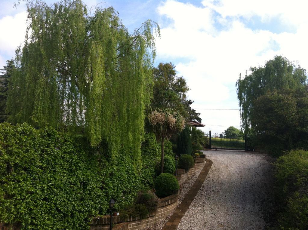 L'Albero Del Pepe Panzió Fiano Romano Kültér fotó