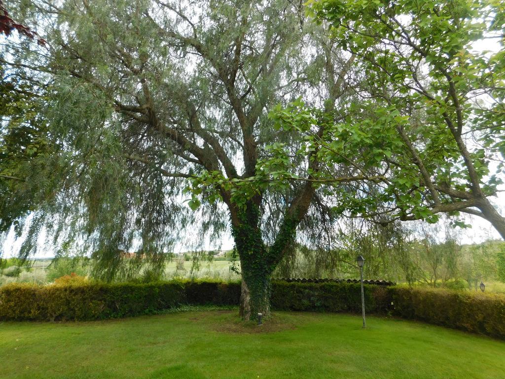 L'Albero Del Pepe Panzió Fiano Romano Kültér fotó