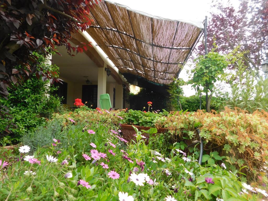 L'Albero Del Pepe Panzió Fiano Romano Kültér fotó